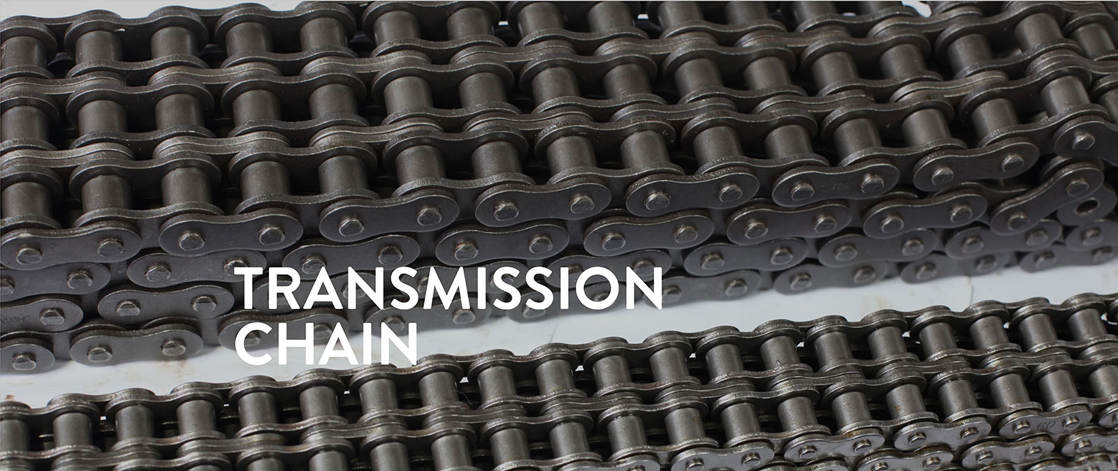 Omega Transmission Chains